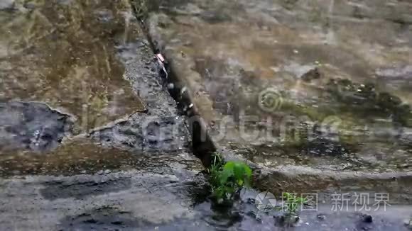 雨季雨水落在地上