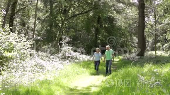 老两口一起走在夏日林荫道上视频