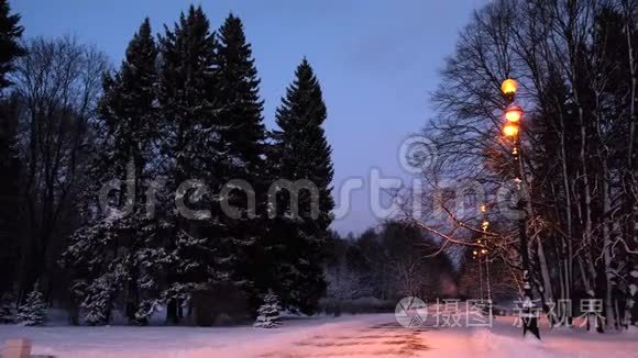 城市里空旷的公园景色优美，夜晚树木被积雪和路灯覆盖。概念。冬天