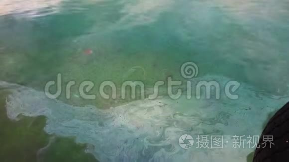 汽油和石油覆盖了水面视频