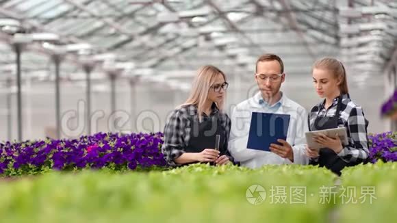 利用玻璃管和平板电脑在温室进行科学研究的农业工人小组