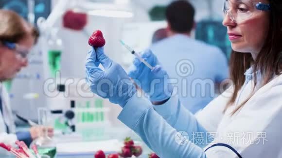 特写女科学家研究员给草莓注射转基因物质的镜头