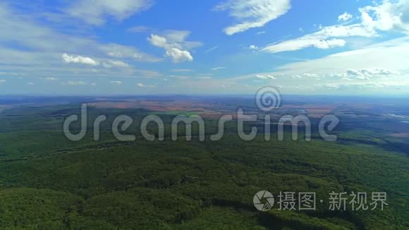 空中无人机镜头：在阳光柔和的光线下，用松林飞过夏天的树林、山丘和草地。 4K