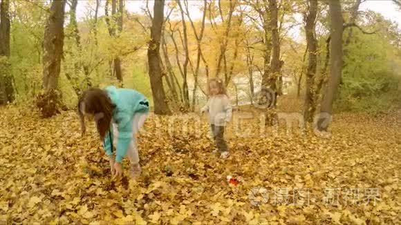 孩子们在森林里玩秋天的树叶视频