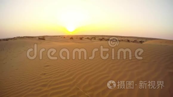 生长不良的沙丘日落沙漠视频