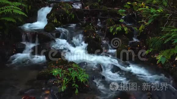 秋季奥拉西峡瀑布景观视频