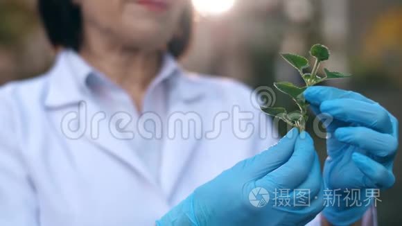 研究植物的生物学家视频