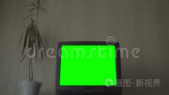 盆栽植物近景的绿屏电视机视频