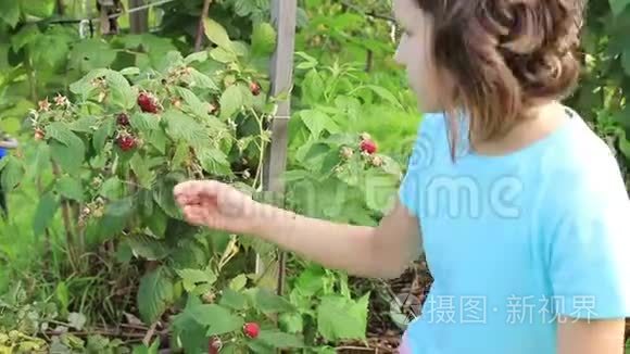 花园里的少女在树莓上表演