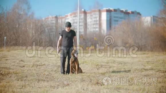 一个人在训练他的德国牧羊犬-狗在训练者的腿之间行走