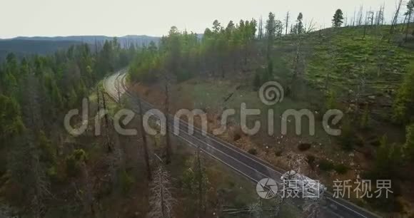 一架白色拖车上的移动摄像机的空中视频，它骑在公路上穿过一片绿色的松树林