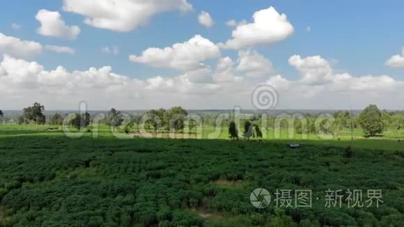 无人机拍摄乡村农业农场的鸟瞰风景