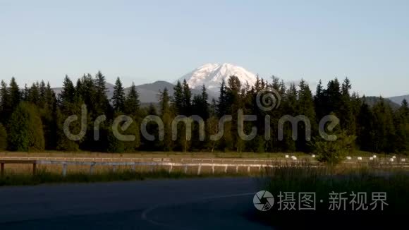 雷尼尔山在草地和森林的周围升起