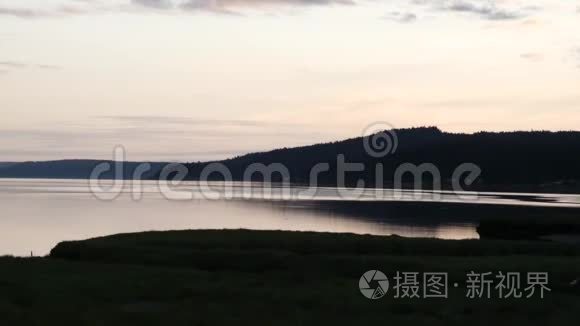 暗黑的湿地和风帽运河沿岸视频