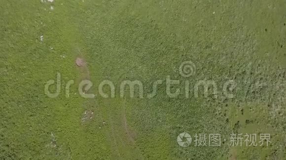 无人驾驶飞机飞过绿色的山坡视频