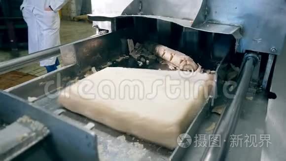 鱼肉块是由机器加工的视频