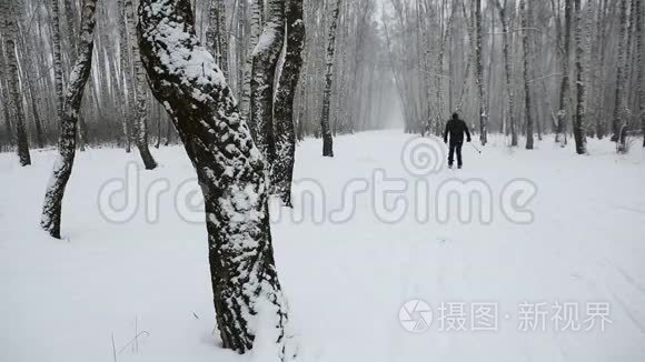 冬林中滑雪者的剪影视频