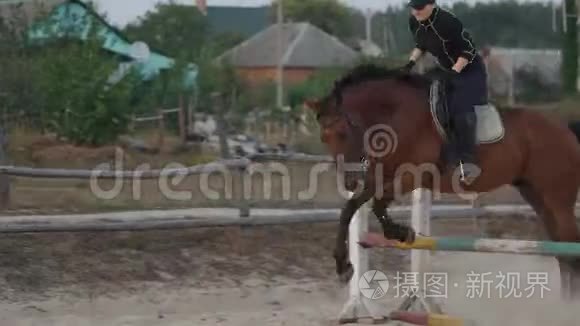 女骑手骑着棕色的马，在沙滩跑酷的竞技场上跳着篱笆。 竞技运动员跳跃训练