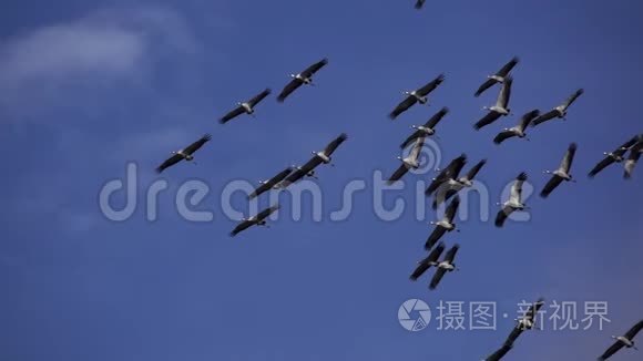 一组起重机在超慢运动中飞行，底部视野