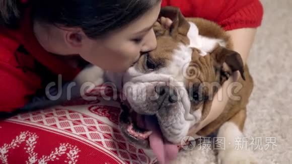 可爱的亚洲女孩在圣诞树下爱抚着一只可爱的斗牛犬。吻他心爱的狗。圣诞节