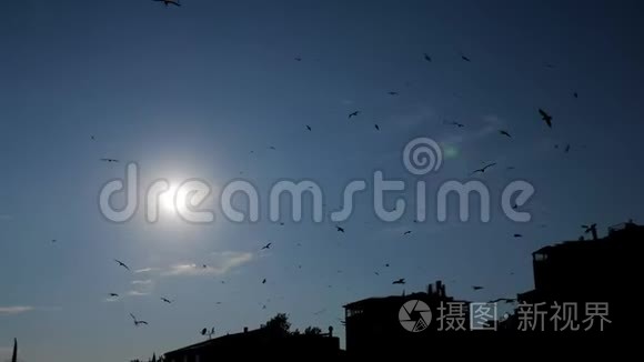 鸟的轮廓在天空中与建筑物和阳光相映成趣