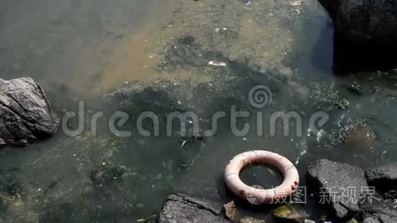 救生圈附着岩石海滩污染垃圾视频