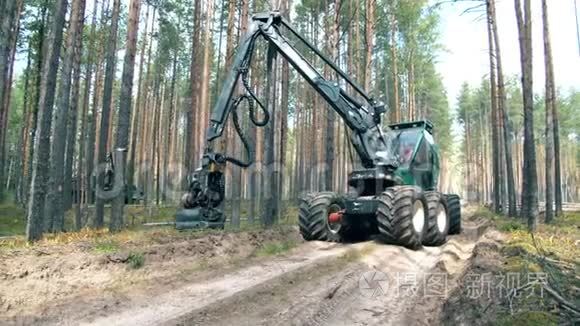 拖拉机在森林里砍树.