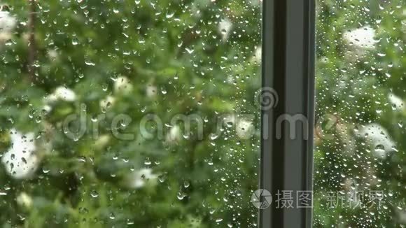 窗户窗格上的雨水视频