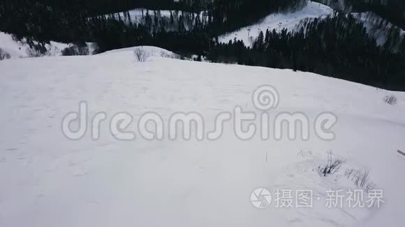 俯瞰白雪密林的神奇自然山谷视频