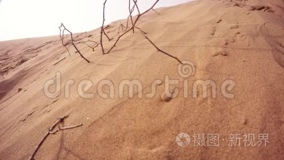 沙子慢慢地破碎，从沙丘上落下一些干燥的树枝在沙漠里，Thar关闭了Khuri