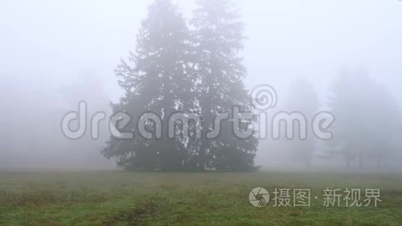 秋天公园里梦幻般朦胧的早晨