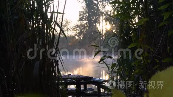 河岸上的日出。 带木鱼码头、芦苇和水上烟雾的景观