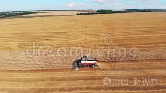 农业机器正在收割田间的黑麦视频