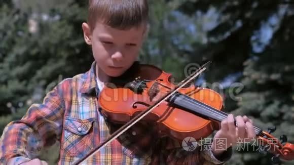 小男孩的画像是在松树的背景下站在公园里拉小提琴。