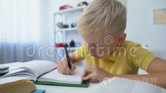 聪明的男孩子做作业，在笔记本上写字，教育和知识