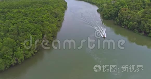 船在河上的红树林中航行视频