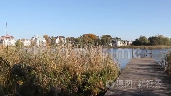 秋天的湖与木桥视频