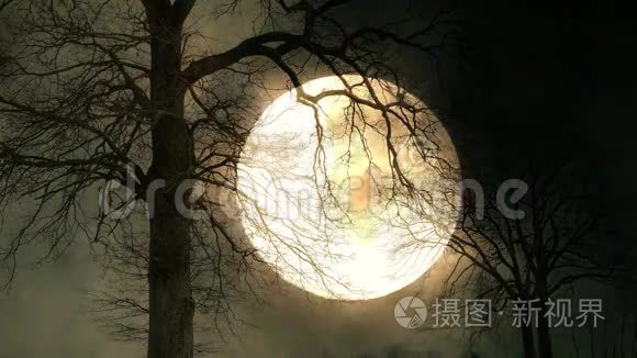 月亮在树后面。 神秘之夜的背景