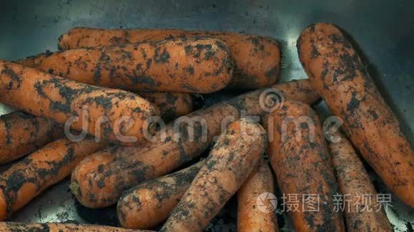 肮脏的胡萝卜在水槽里洗土mov格式视频下载 正版视频编号02ps0u 摄图新视界视频库