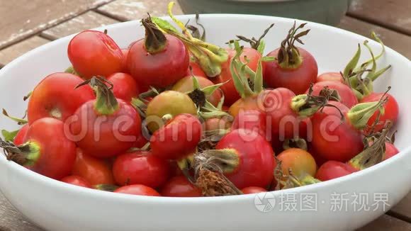 碗中的重茎布什番茄视频