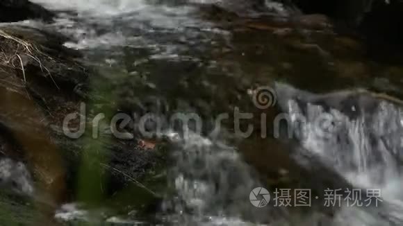 暗水汇集在小溪中流淌视频