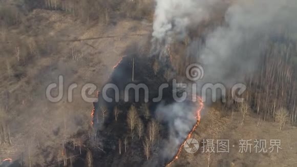 林谷野火视频.