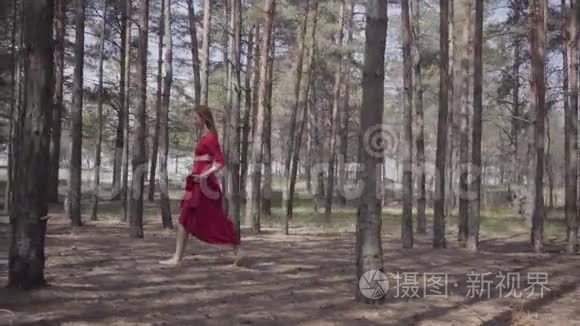 美丽的女人穿着红色的长裙走在森林里。 女性柔情和谐生活理念.. 壮观