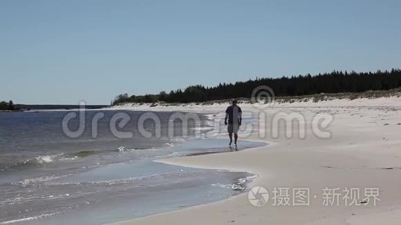 在清晨海滩上散步的人视频