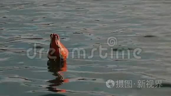 浮标在波浪上游动视频