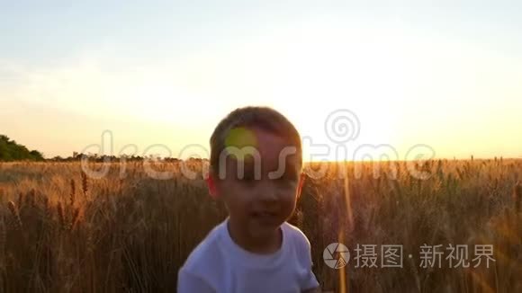 日落时，一个孩子高兴地把麦穗扔到田里