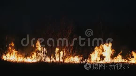 夜间森林大火，关闭燃烧的灌木丛，干草