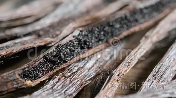 干香草豆荚，香草棒宏射