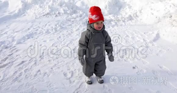 席德背景白色雪离笔视频