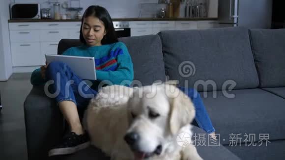 可爱的印度女人上网和宠物狗视频